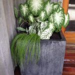 Container Gardens & Planters – Image 1