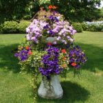 Container Gardens & Planters – Image 14