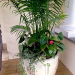 Container Gardens & Planters – Image 18
