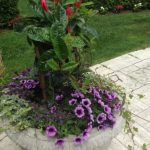 Container Gardens & Planters – Image 21