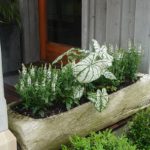 Container Gardens & Planters – Image 5