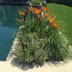 Container Gardens & Planters – Image 7