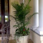 Container Gardens & Planters – Image 17