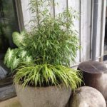 Container Gardens & Planters – Image 4